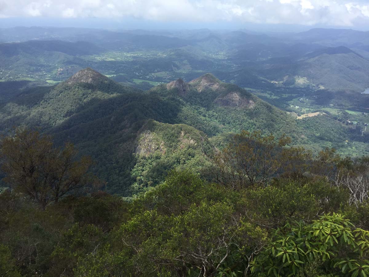 Wollumbin hike summit track 46