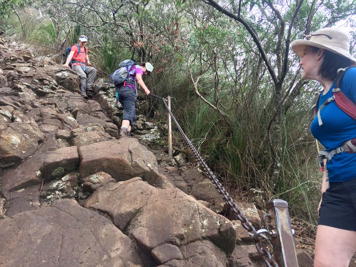 Wollumbin hike summit track 50
