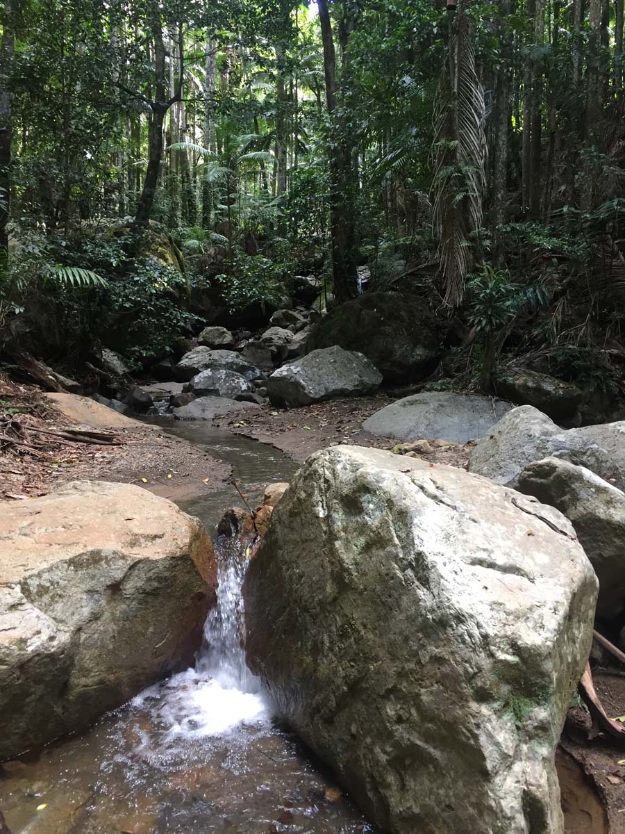 Wollumbin hike summit track 58