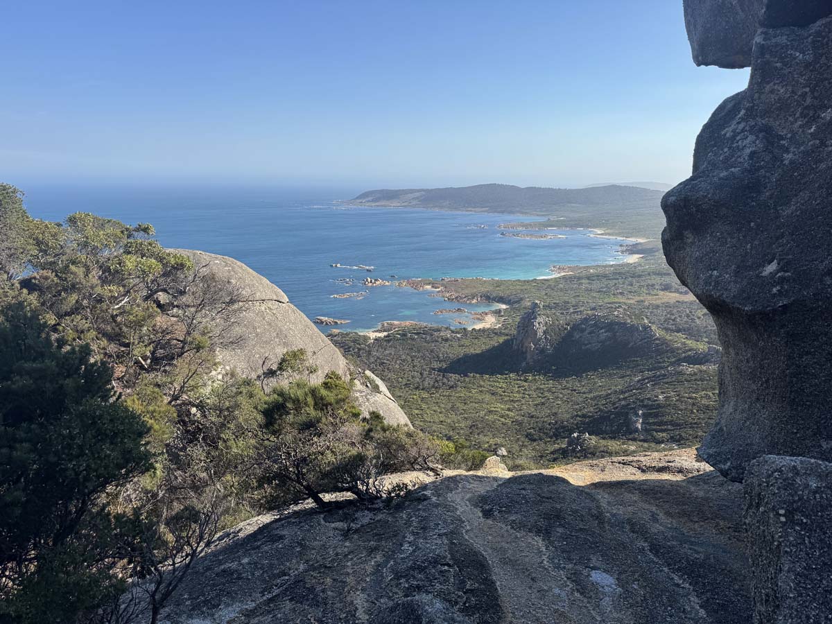 Wombat rock track mt killiecrankie 15