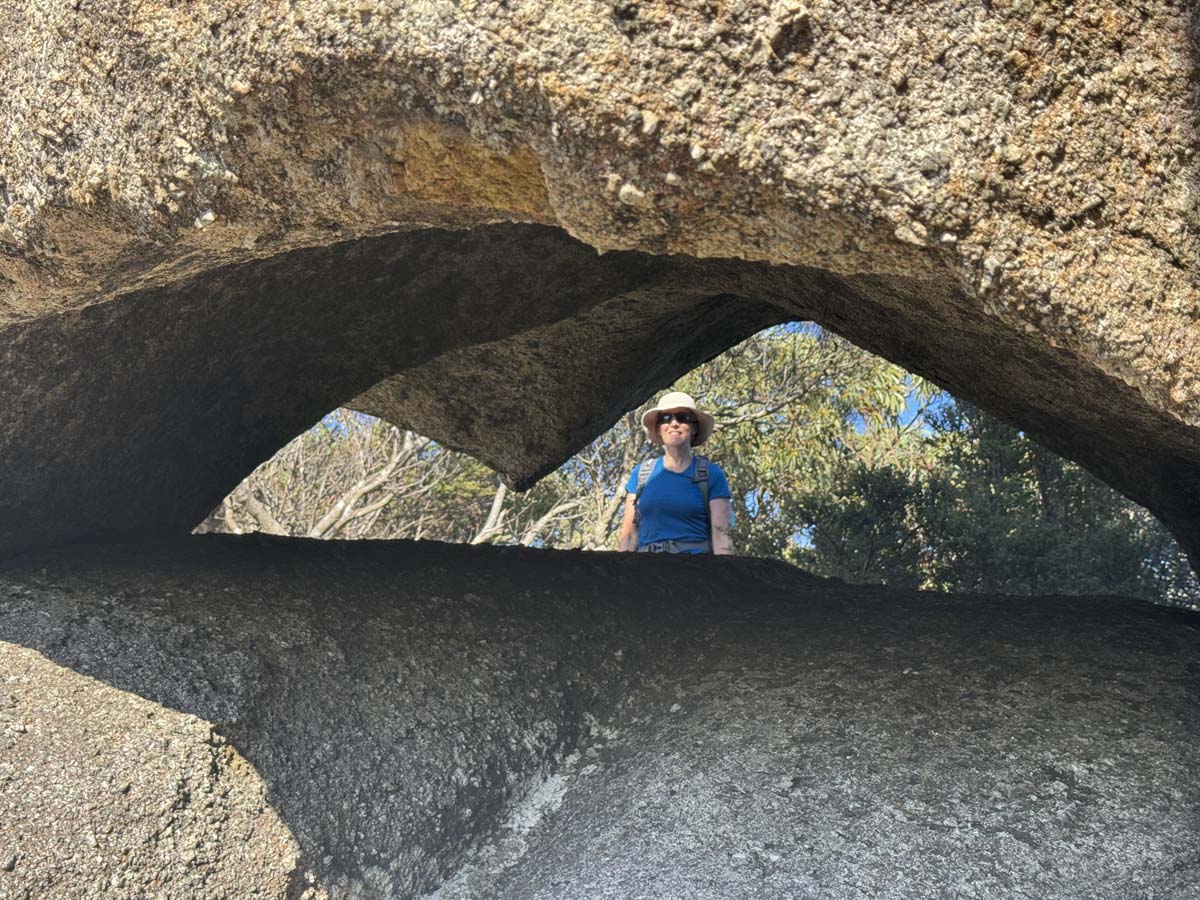 Wombat rock track mt killiecrankie 31