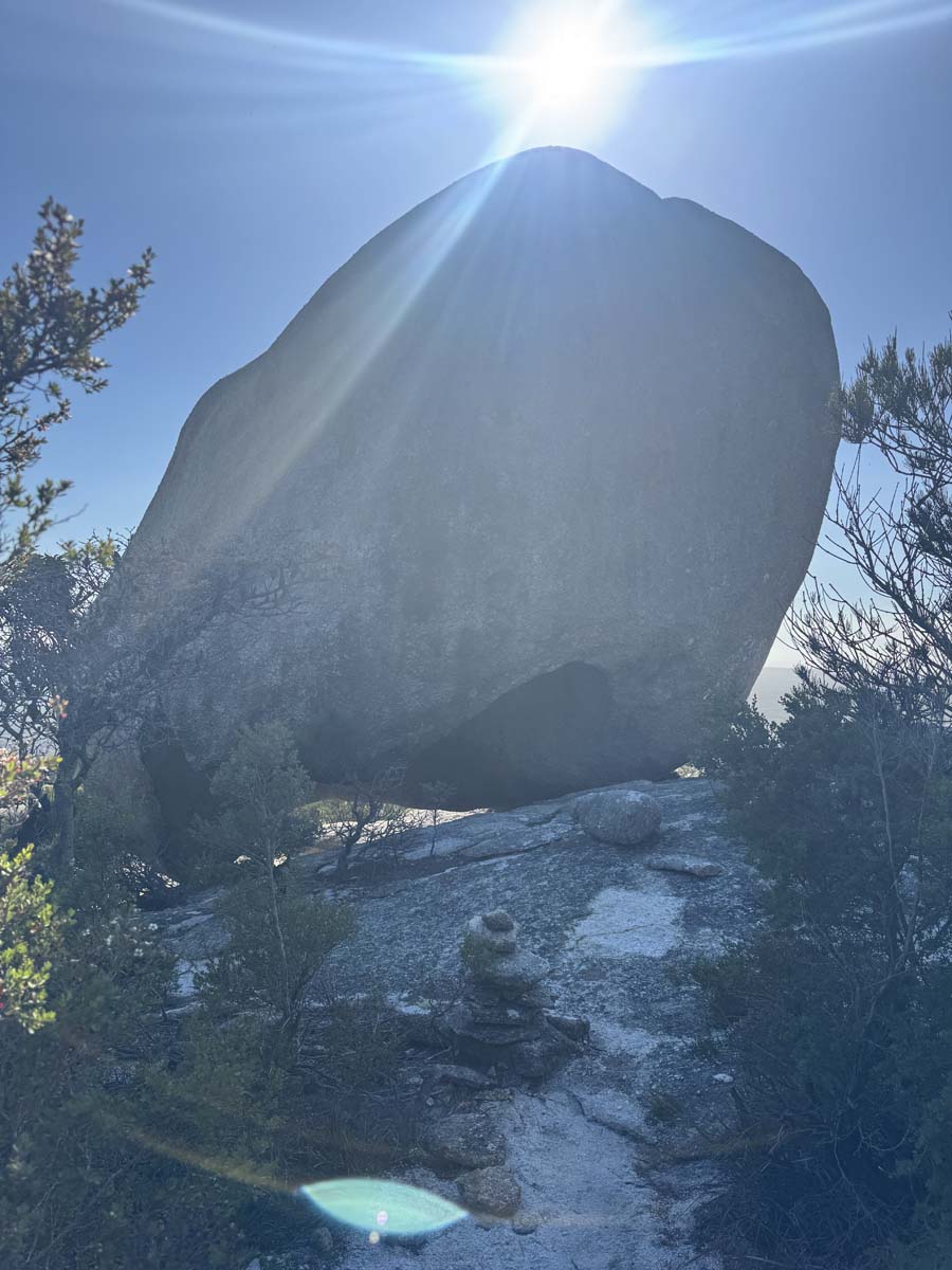 Wombat rock track mt killiecrankie 32