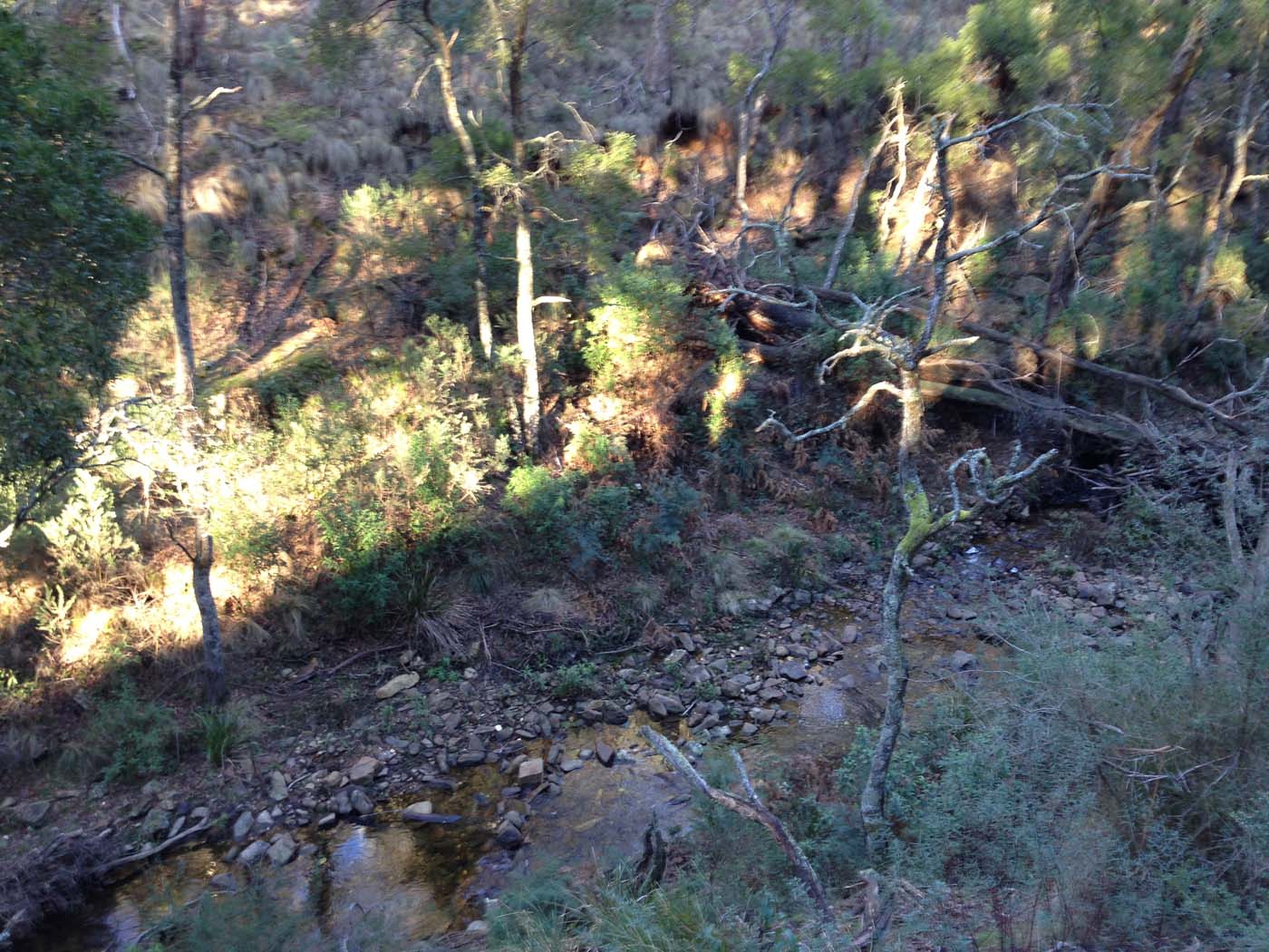 Yankee creek hike (11)