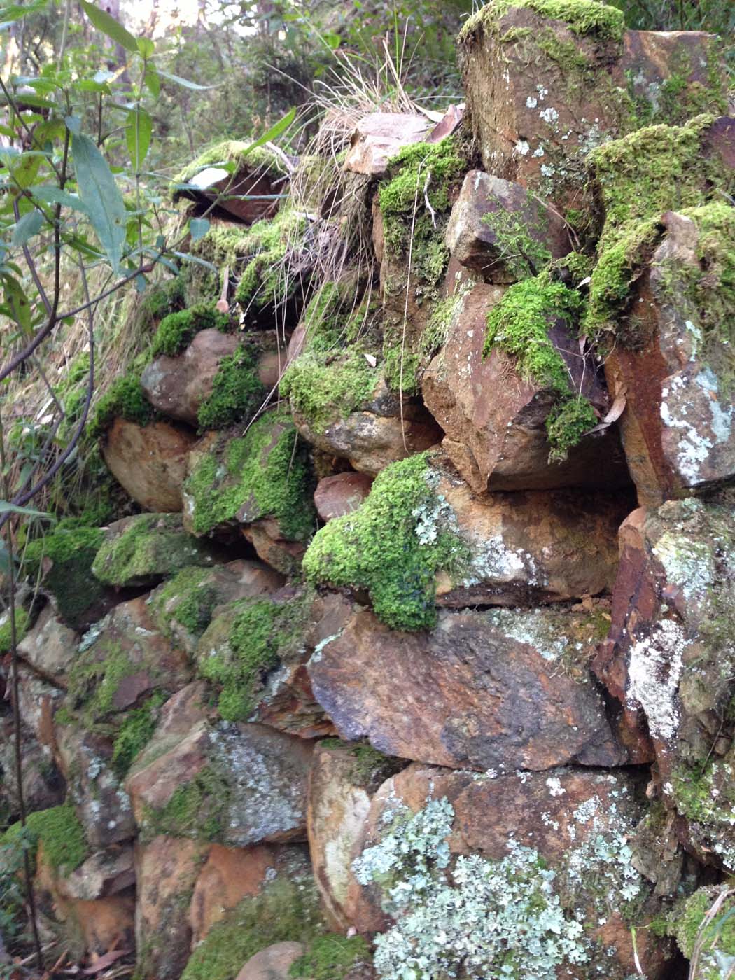 Yankee creek hike (13)