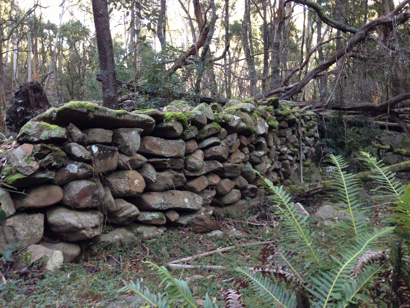 Yankee creek hike (15)