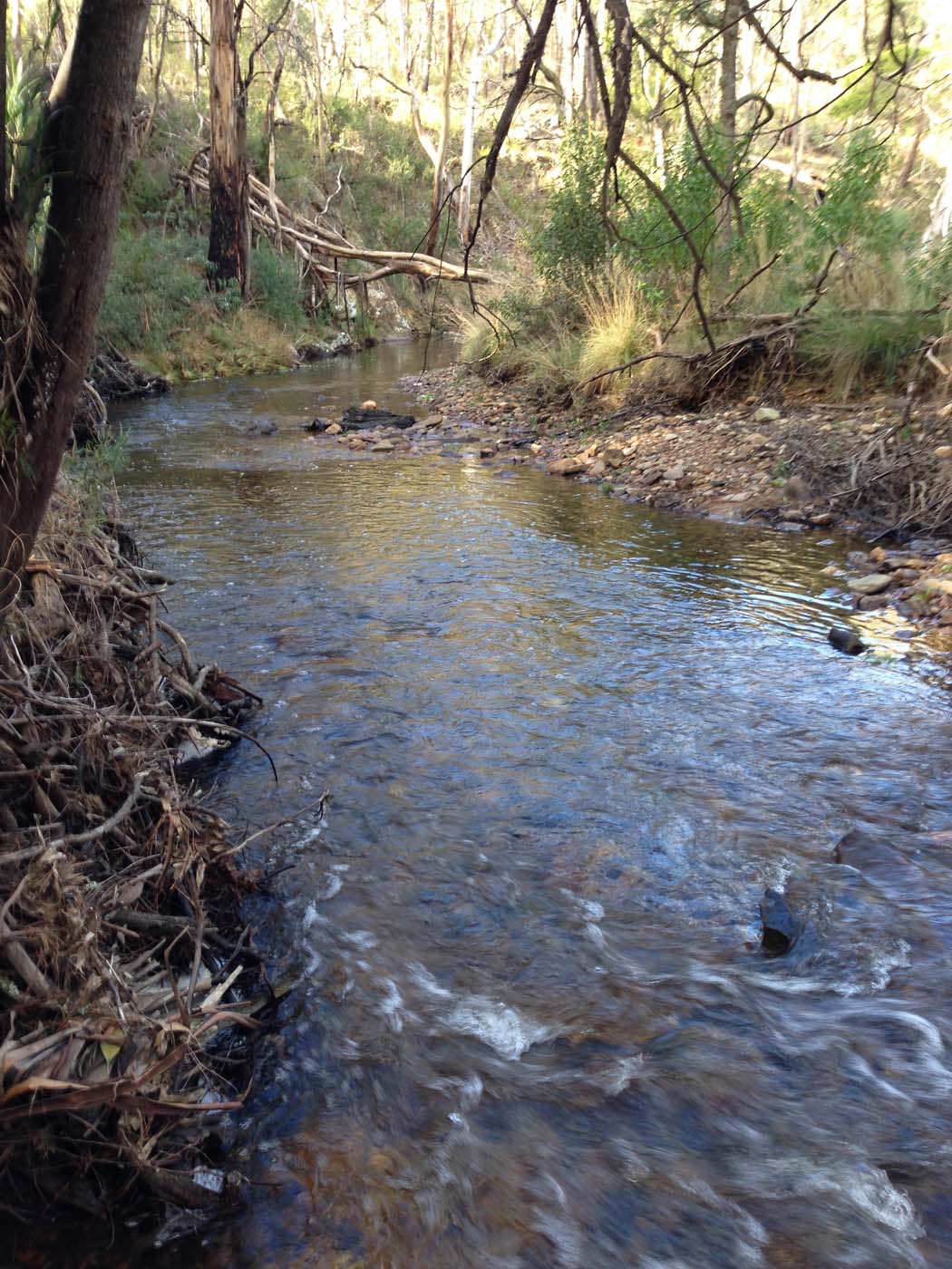 Yankee creek hike (17)