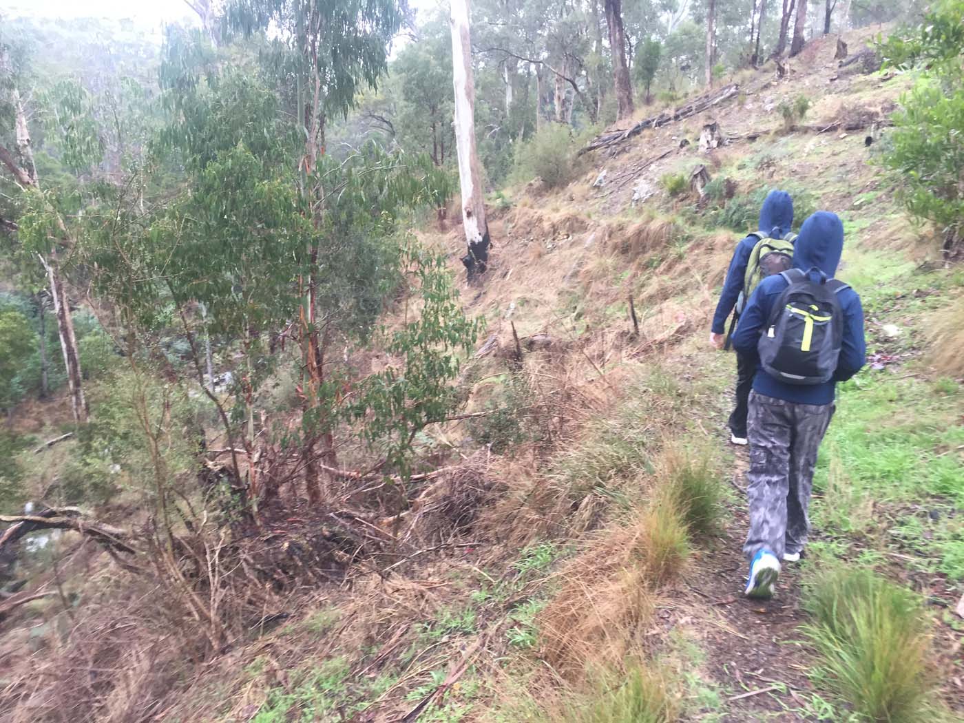 Yankee creek hike (18)