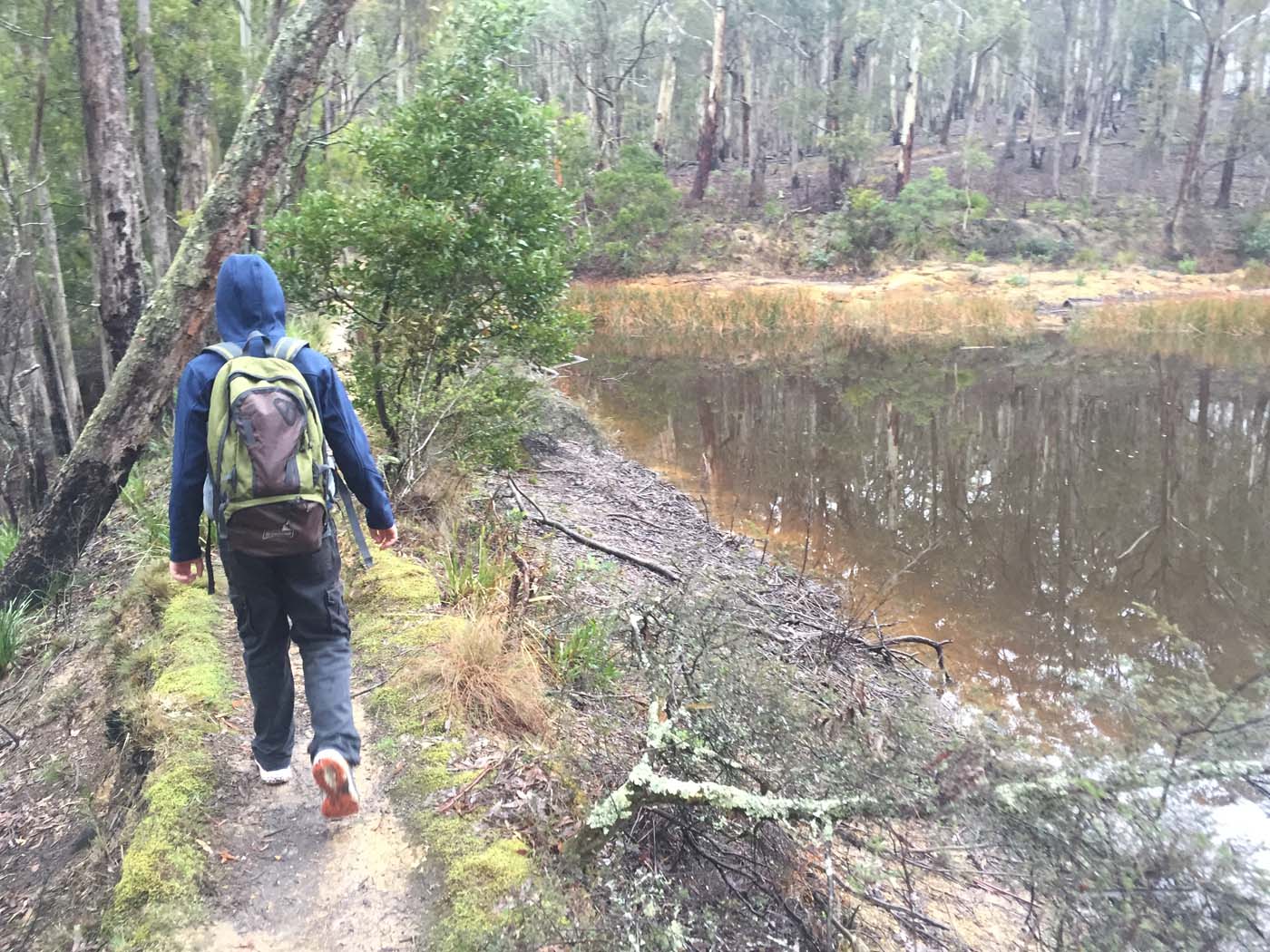 Yankee creek hike (19)