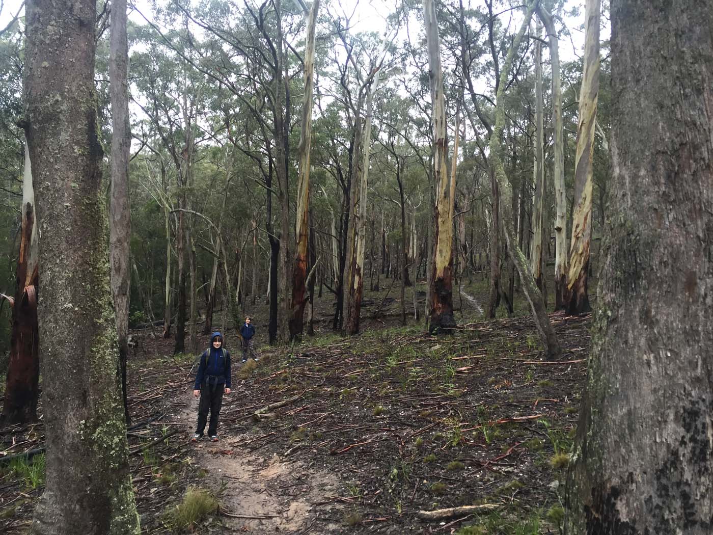 Yankee creek hike (21)