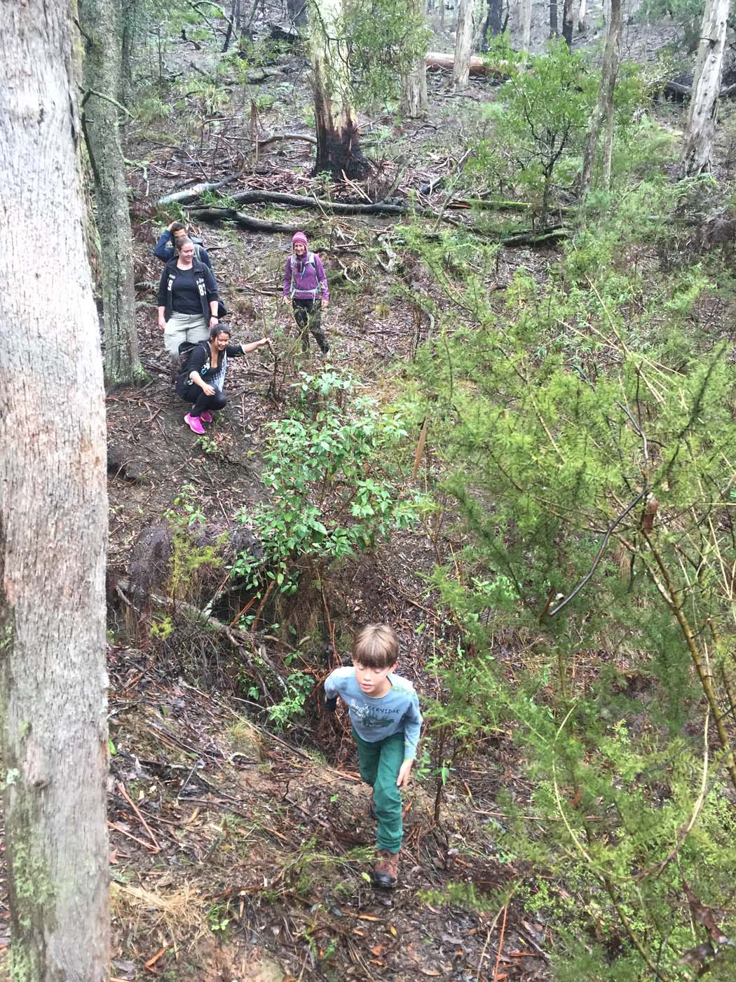 Yankee creek hike (22)