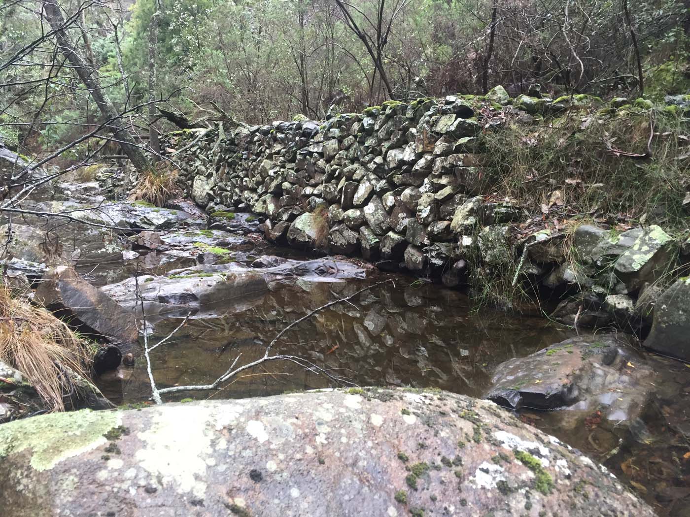 Yankee creek hike (24)
