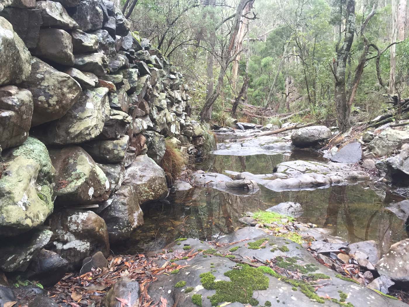 Yankee creek hike (25)