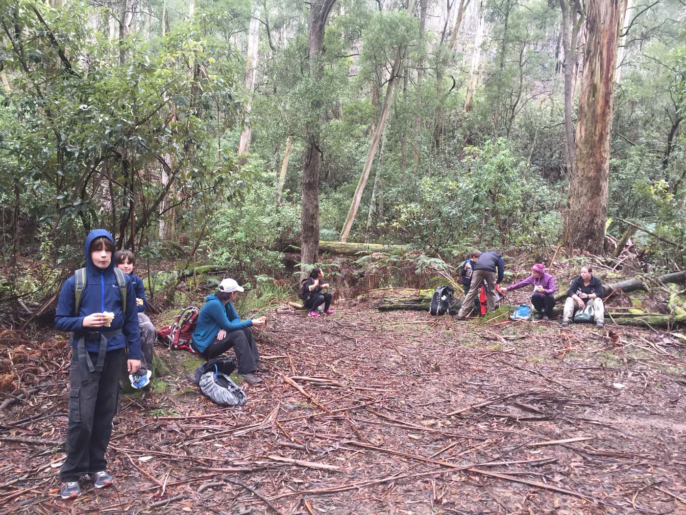 Yankee creek hike (32)