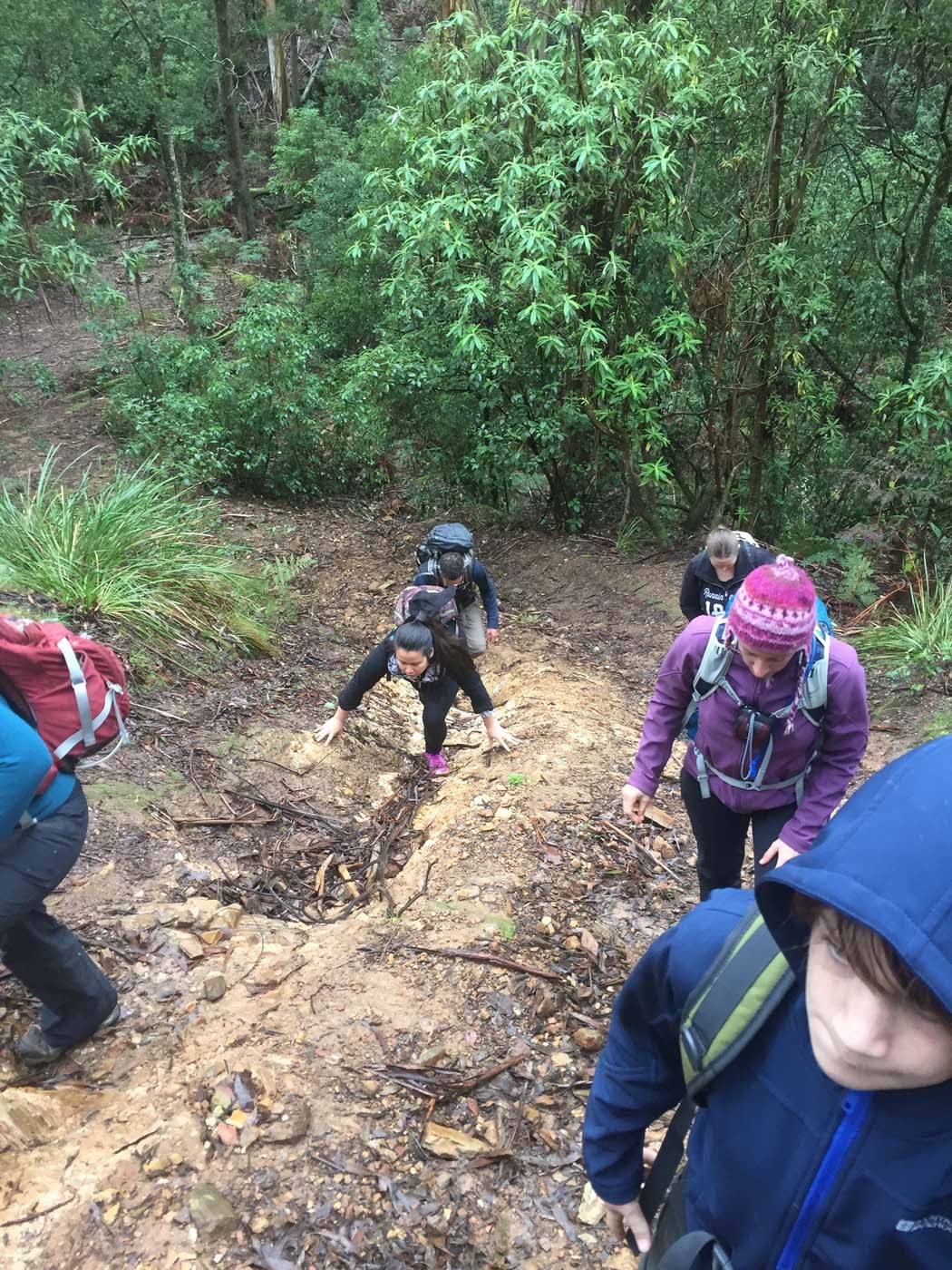 Yankee creek hike (33)