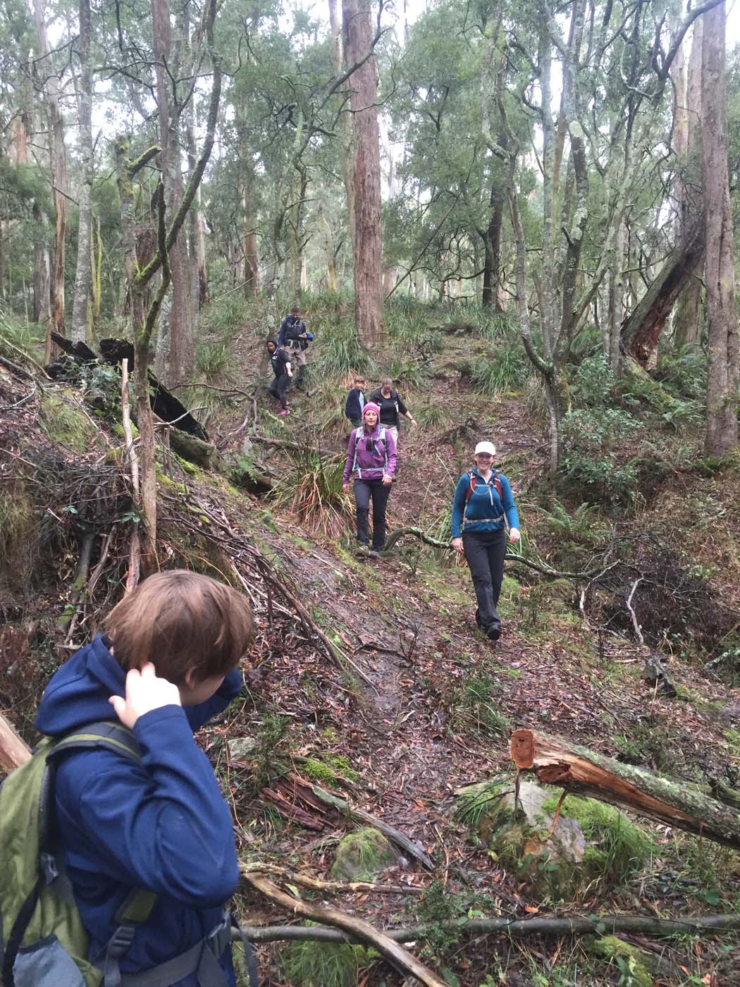 Yankee creek hike (35)