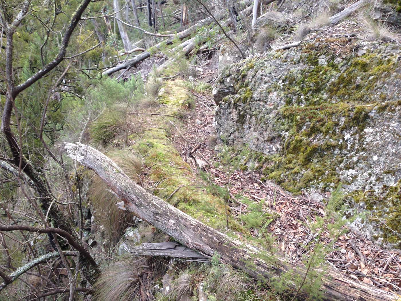 Yankee creek hike (5)
