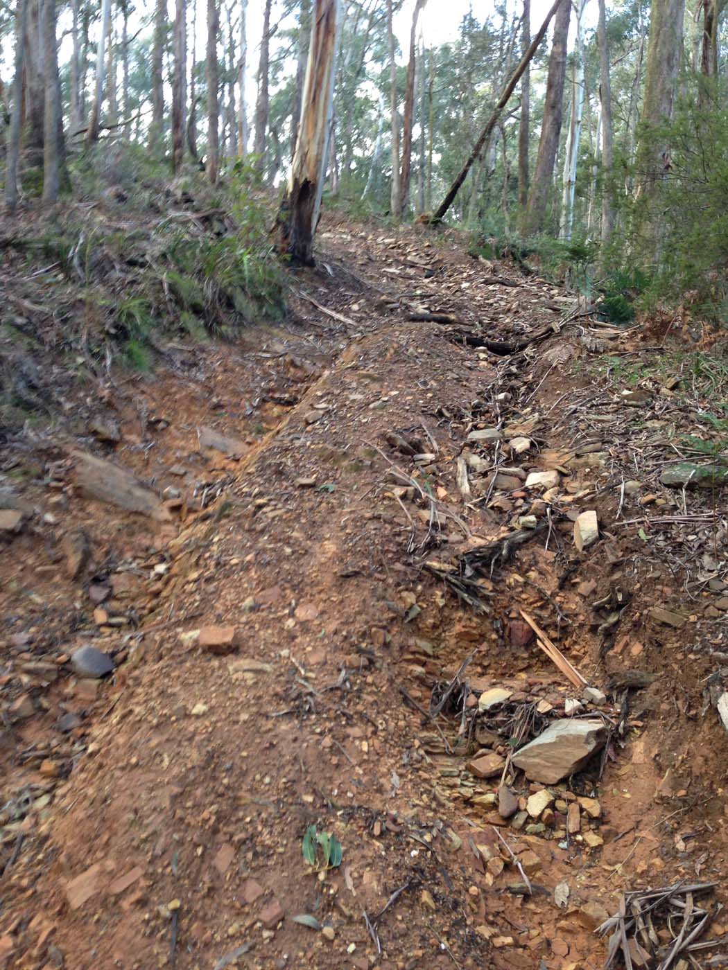 Yankee creek hike (7)