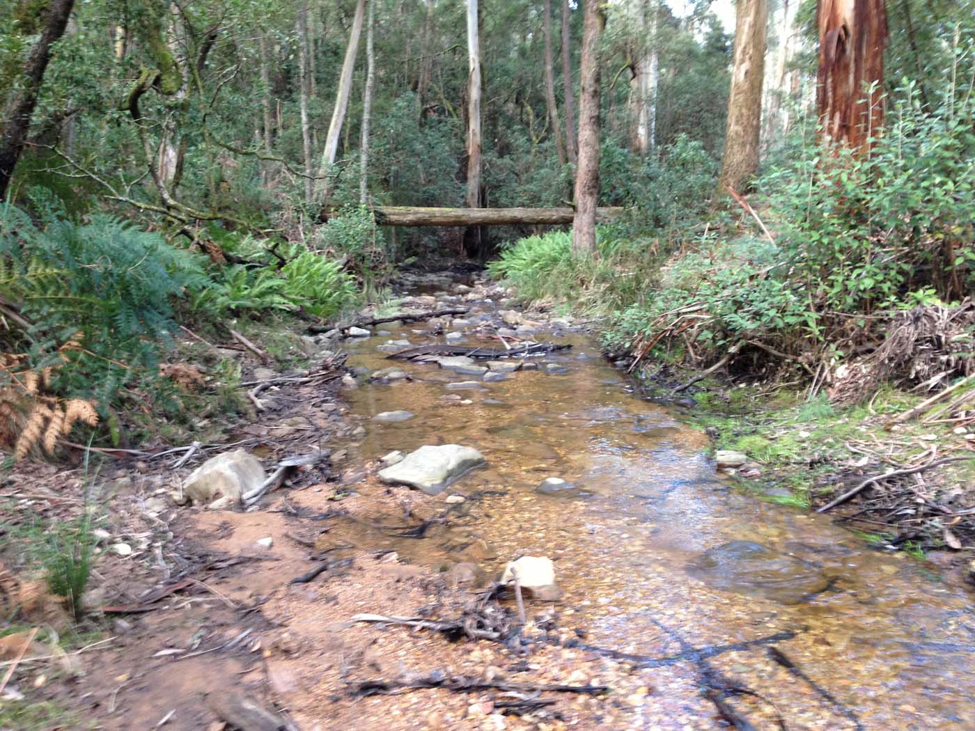 Yankee creek hike (8)