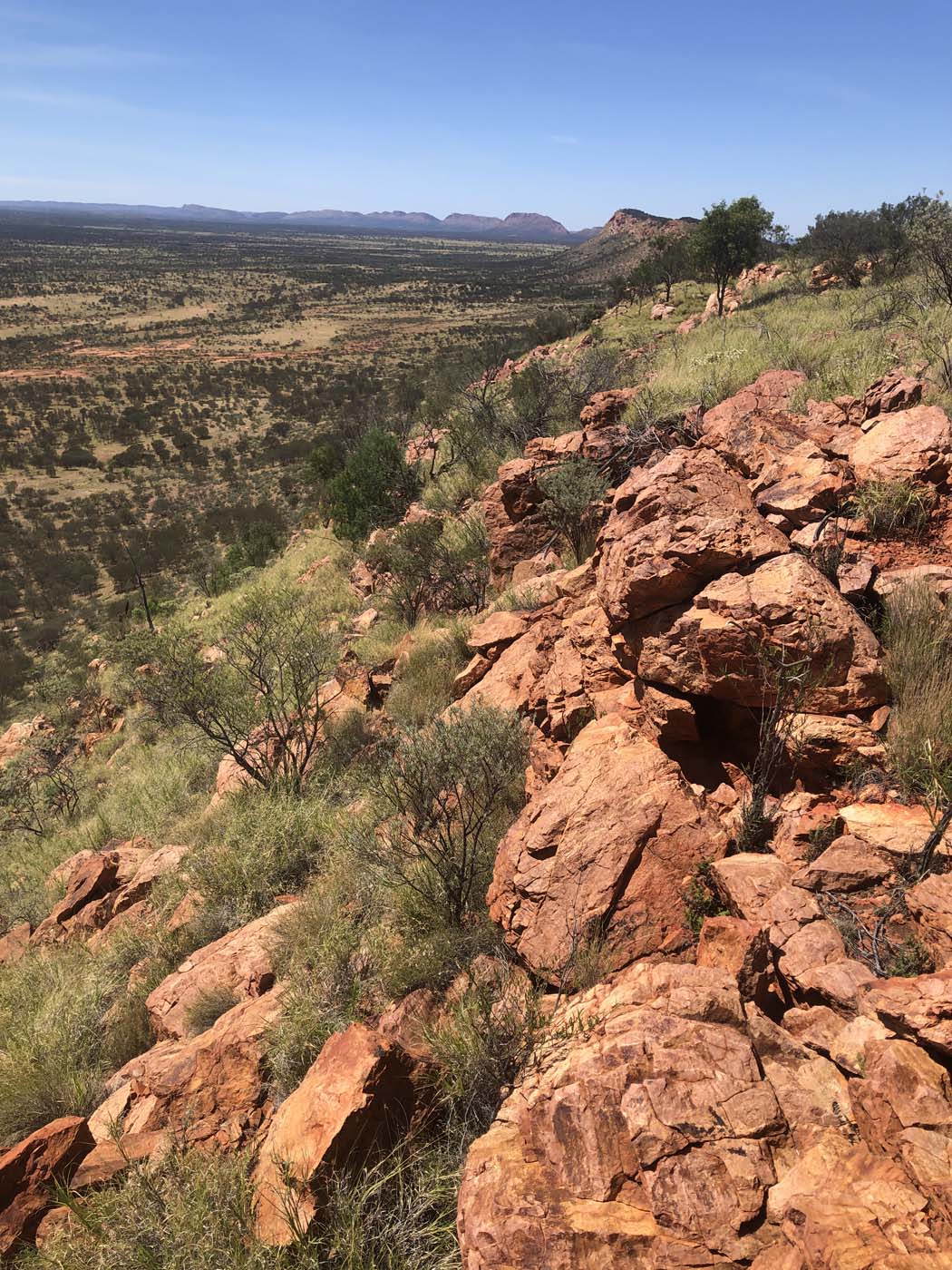 Yeperenye trail (5)