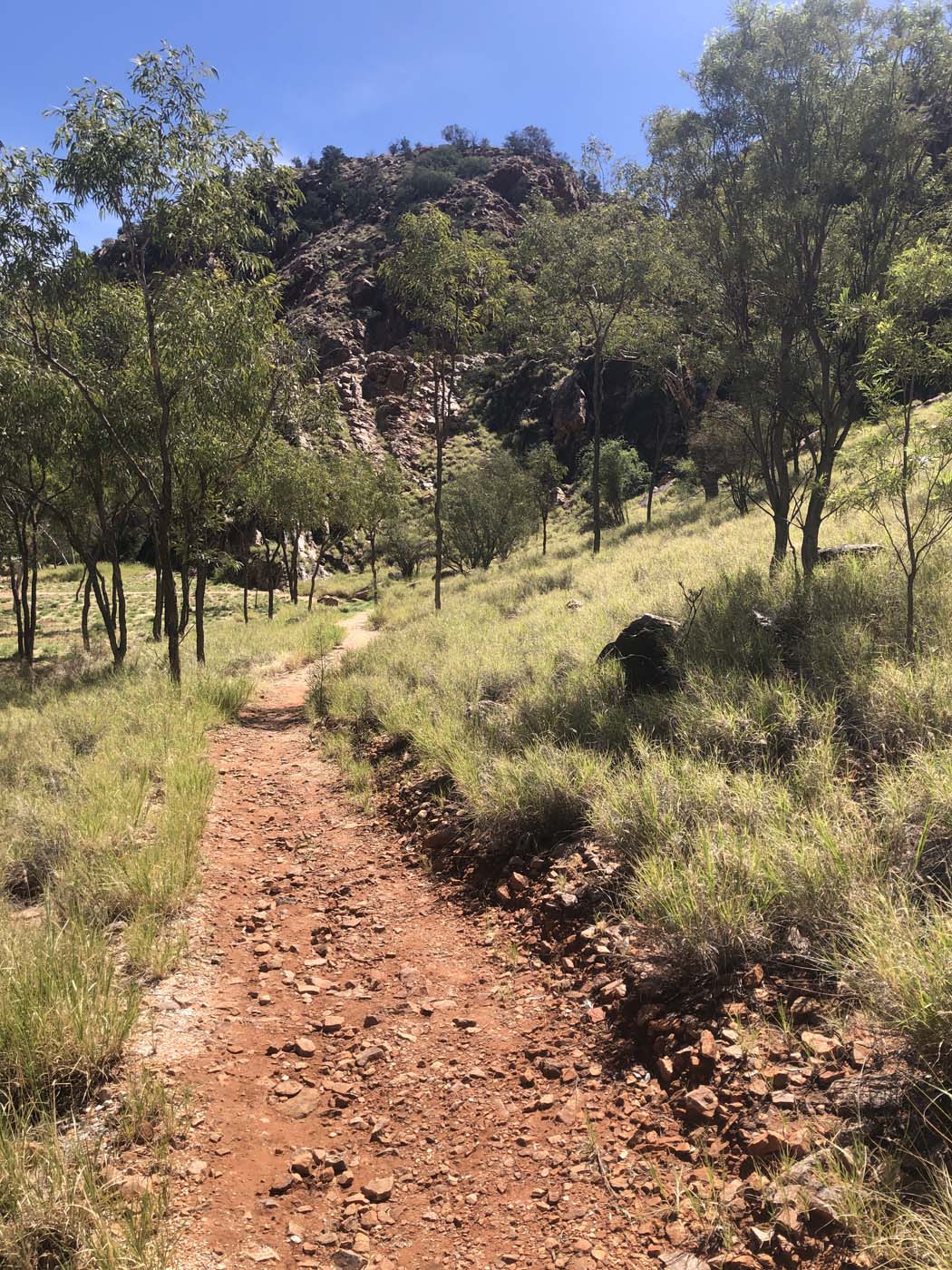 Yeperenye trail walk 10