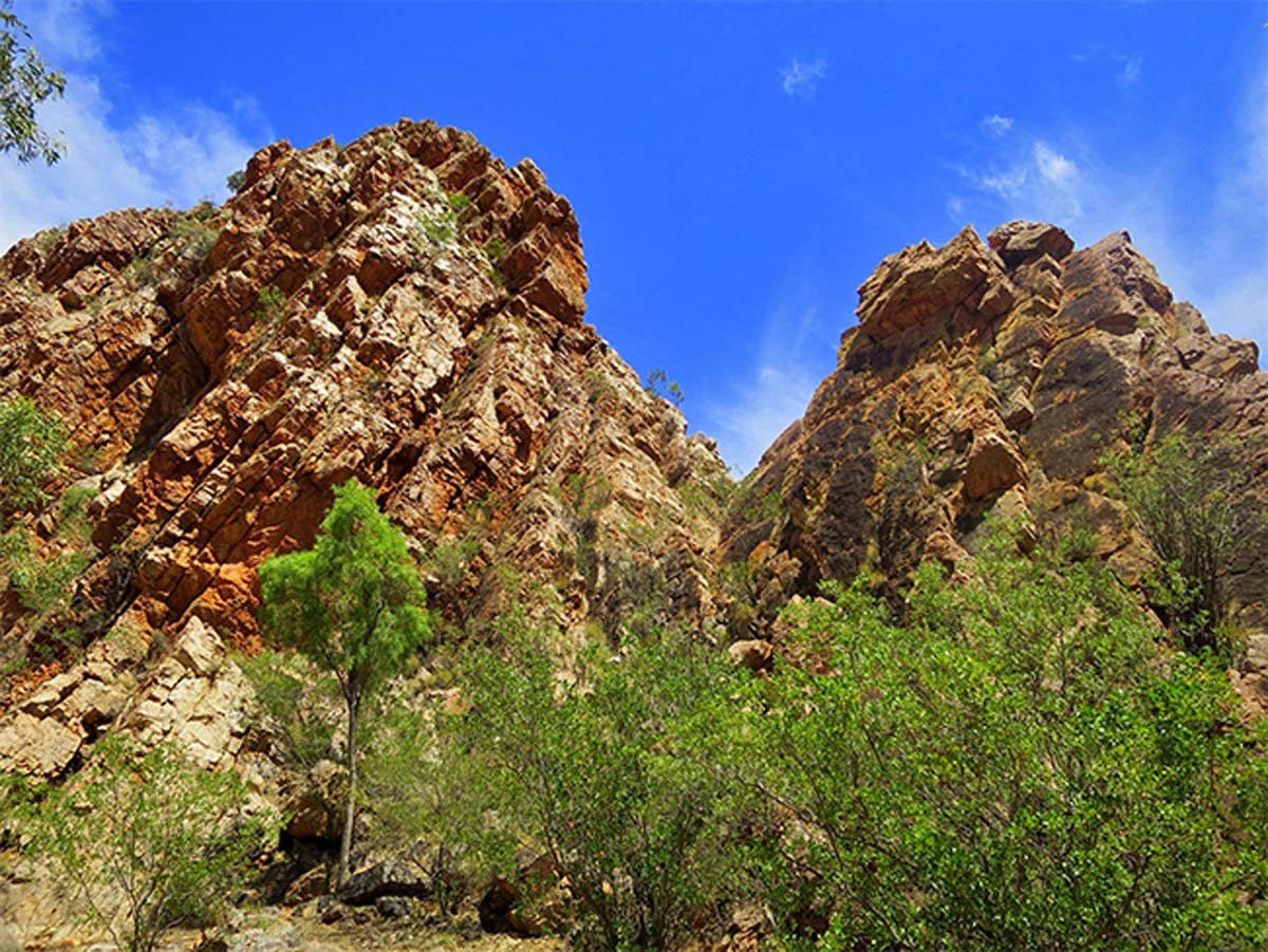 Yeperenye trail walk 12