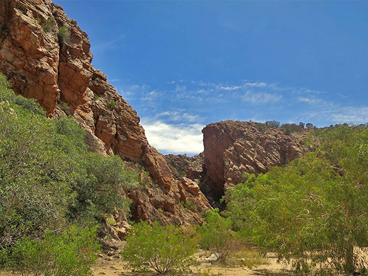 Yeperenye trail walk 13
