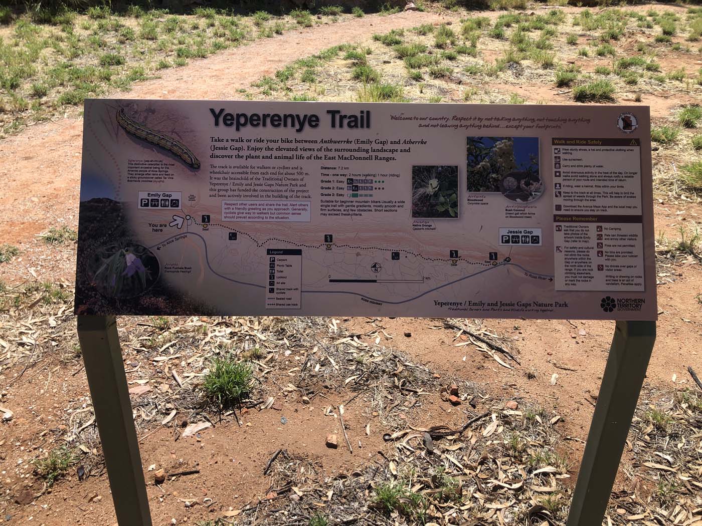 Yeperenye trail walk 4