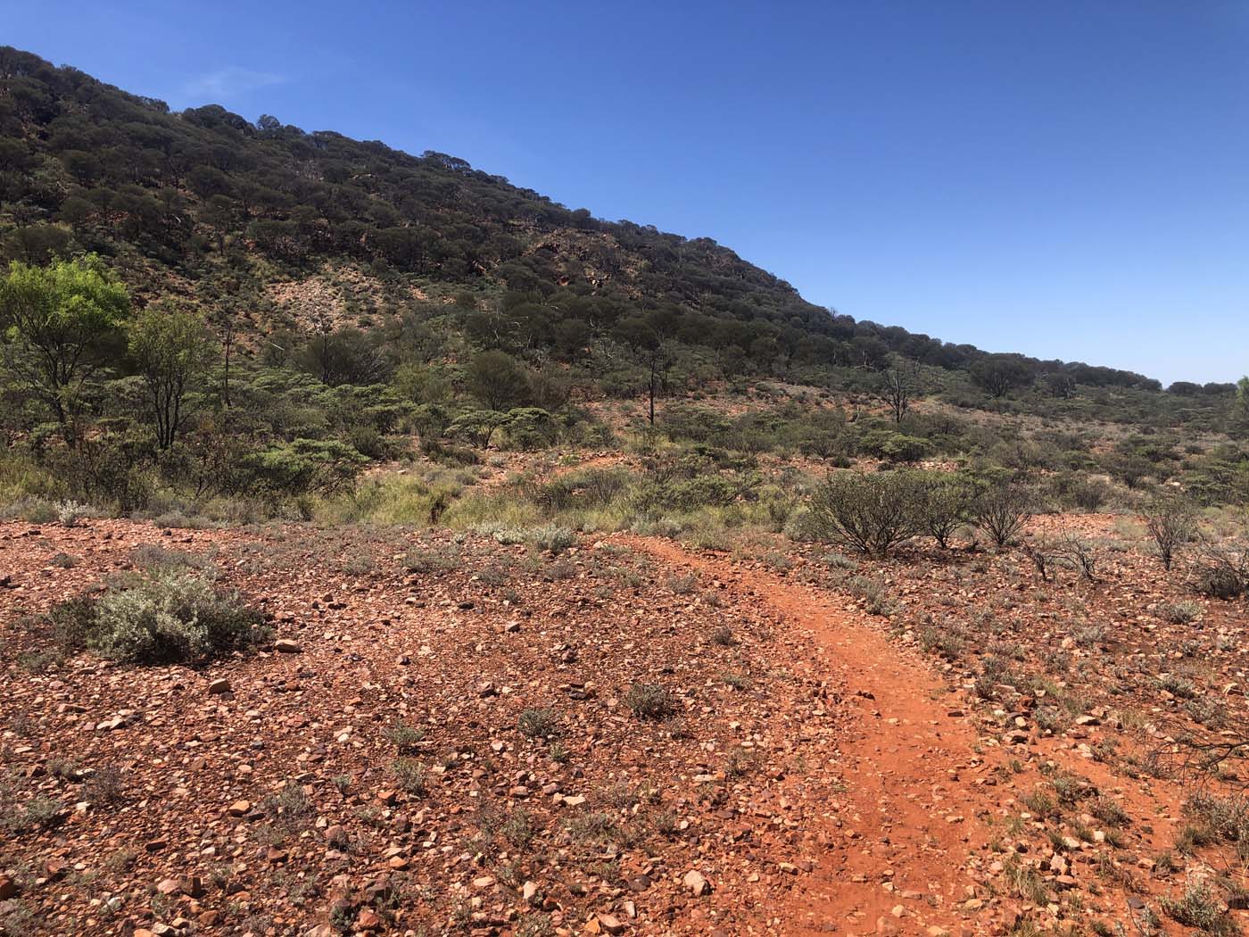 Yeperenye trail walk 5