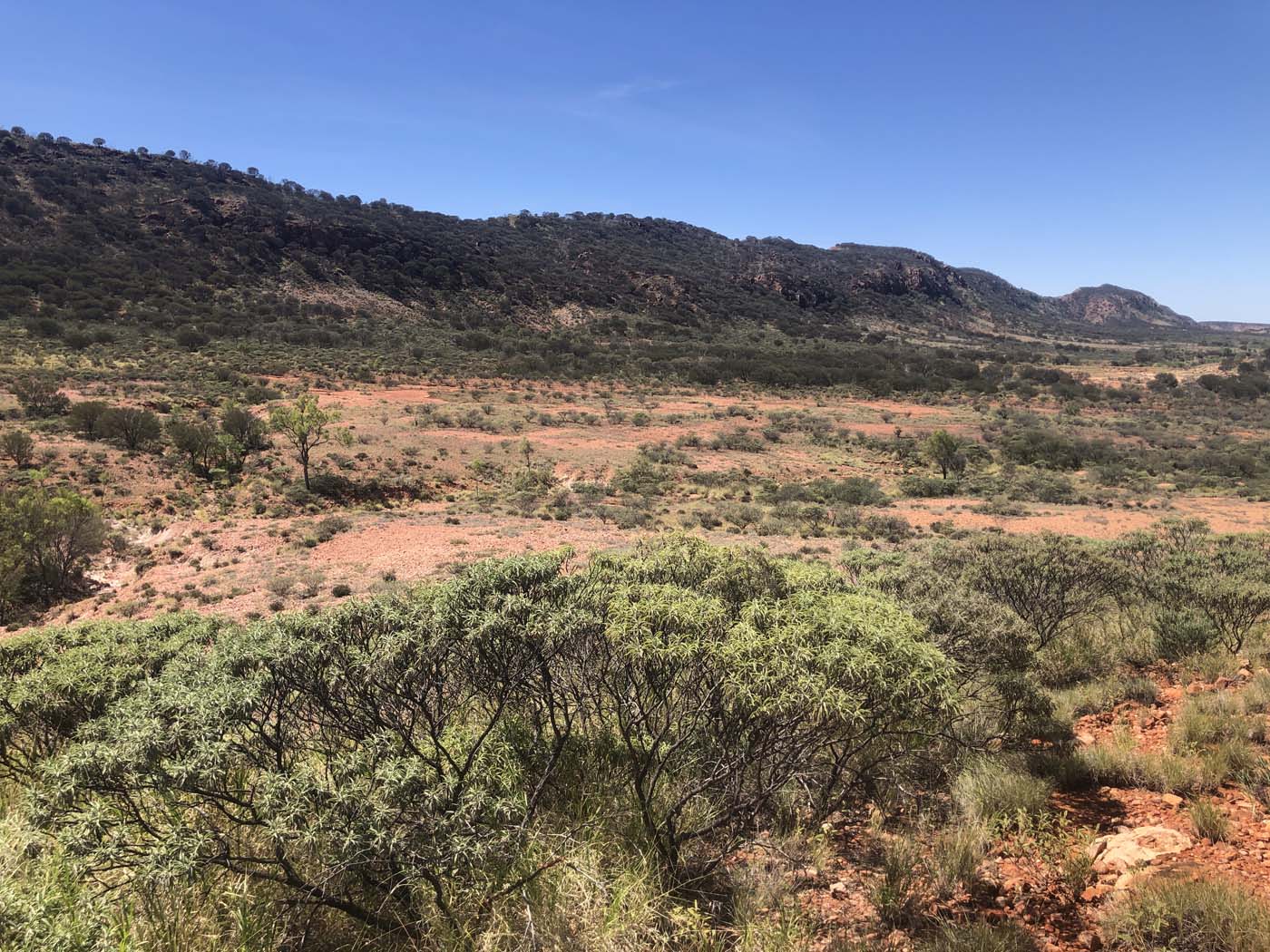 Yeperenye trail walk 7
