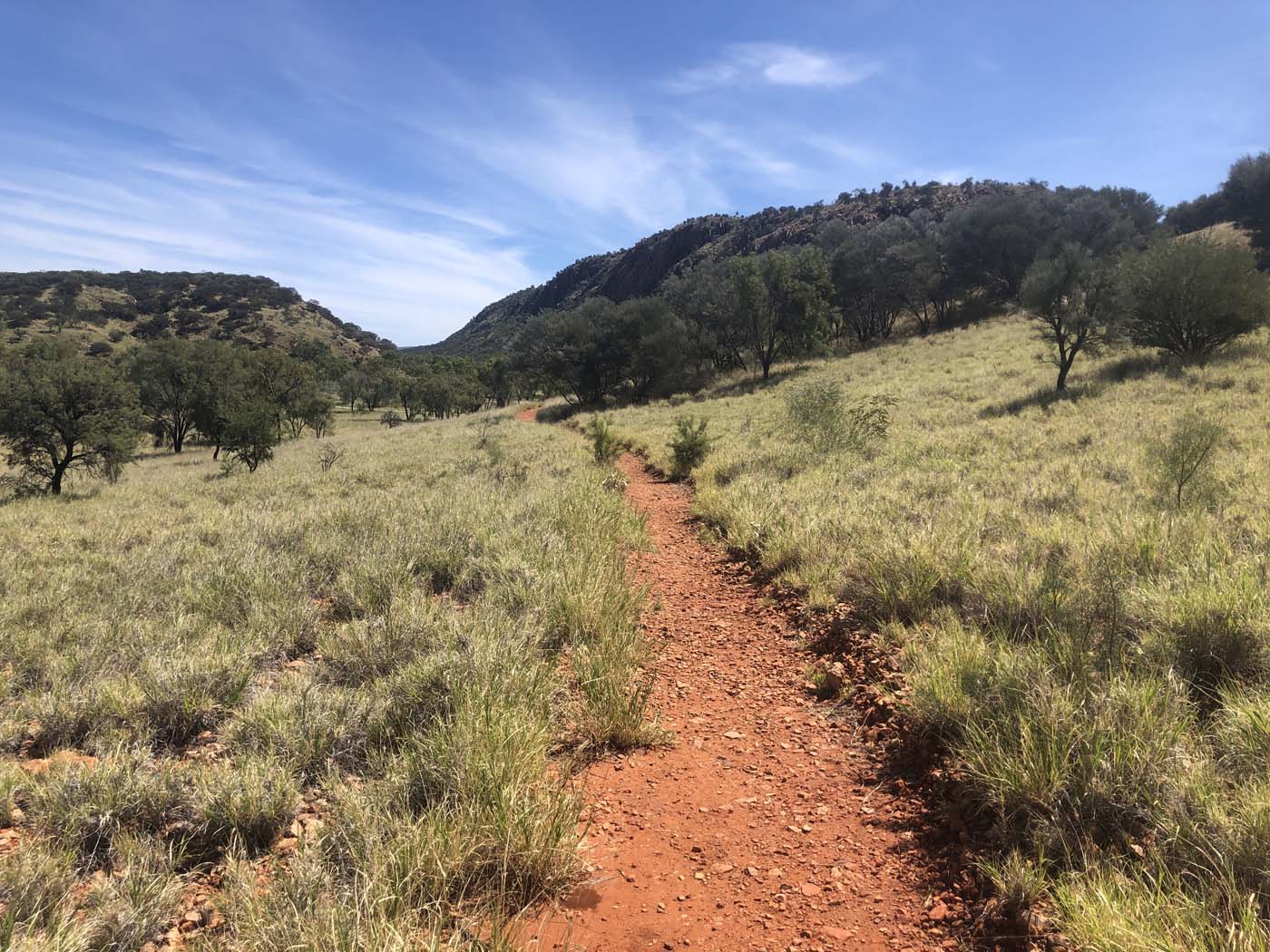 Yeperenye trail walk 9