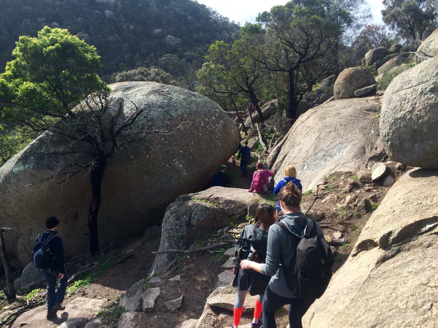 You yangs circuit hike (11)