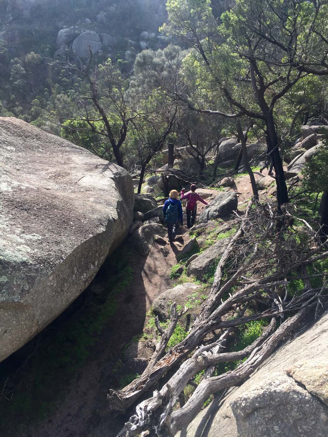 You yangs circuit hike (12)