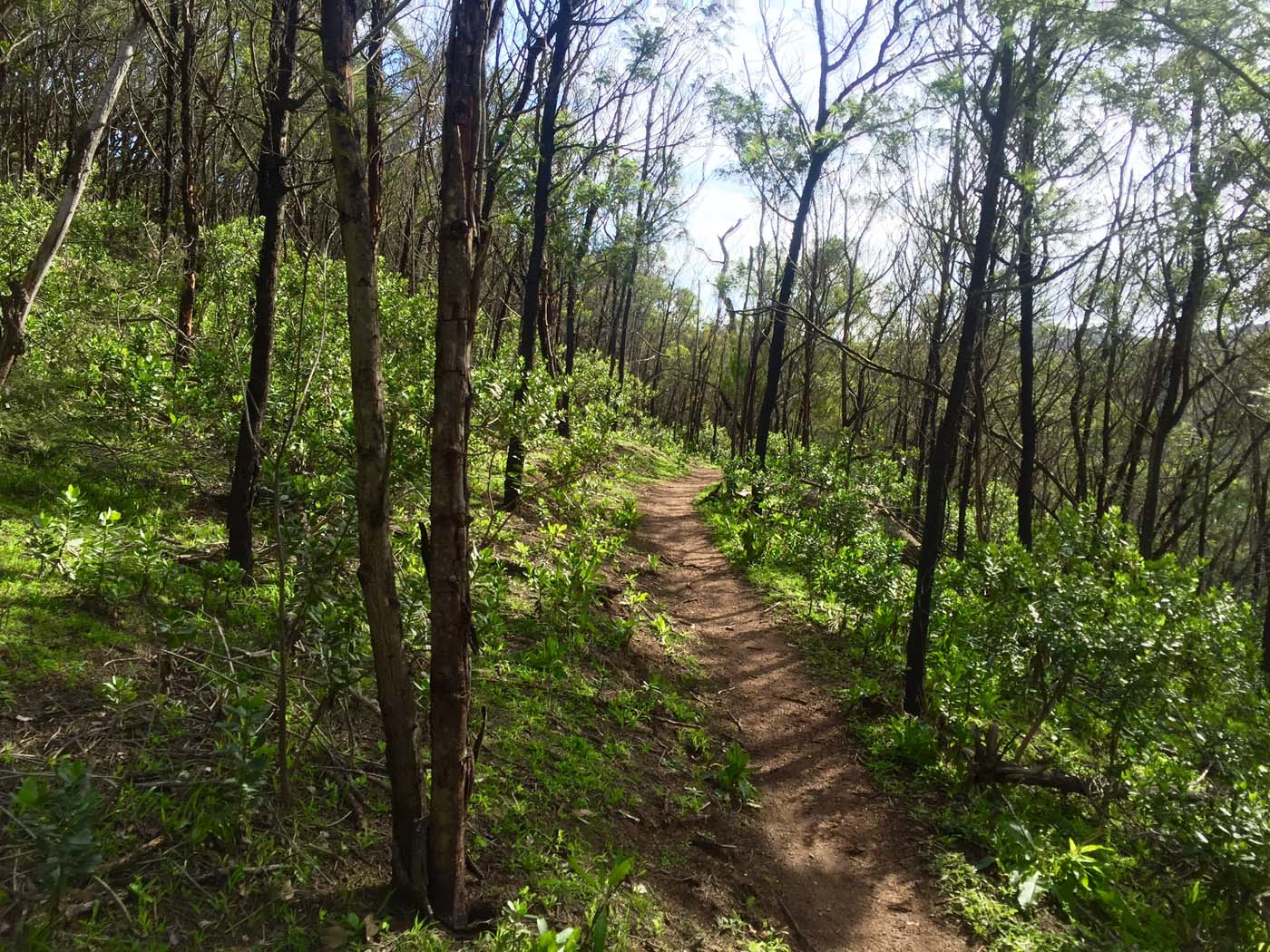 You yangs circuit hike (13)