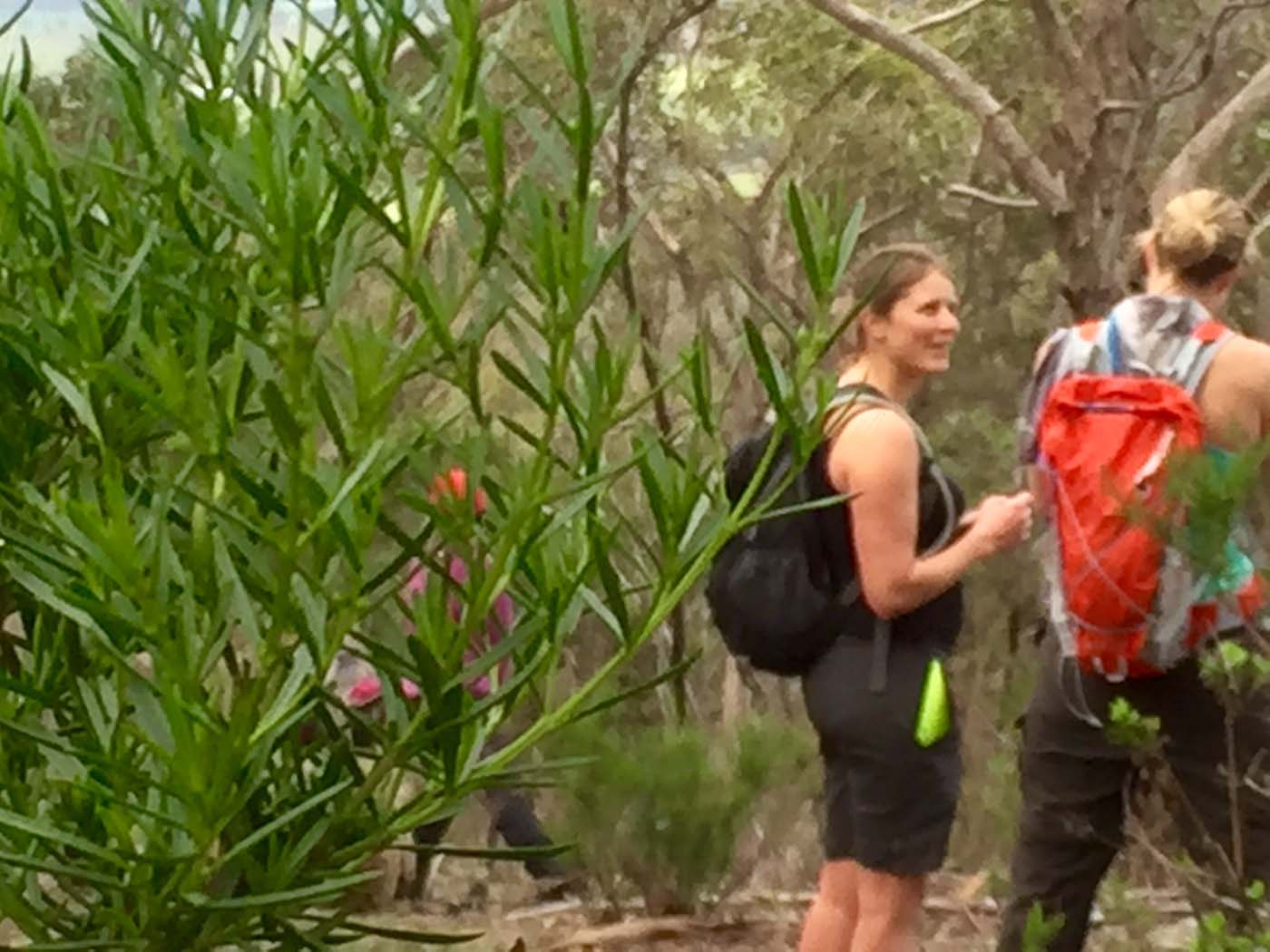 You yangs circuit hike (15)