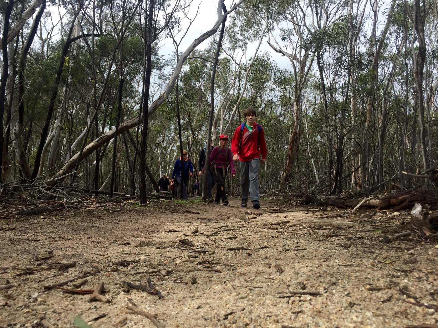 You yangs circuit hike (18)