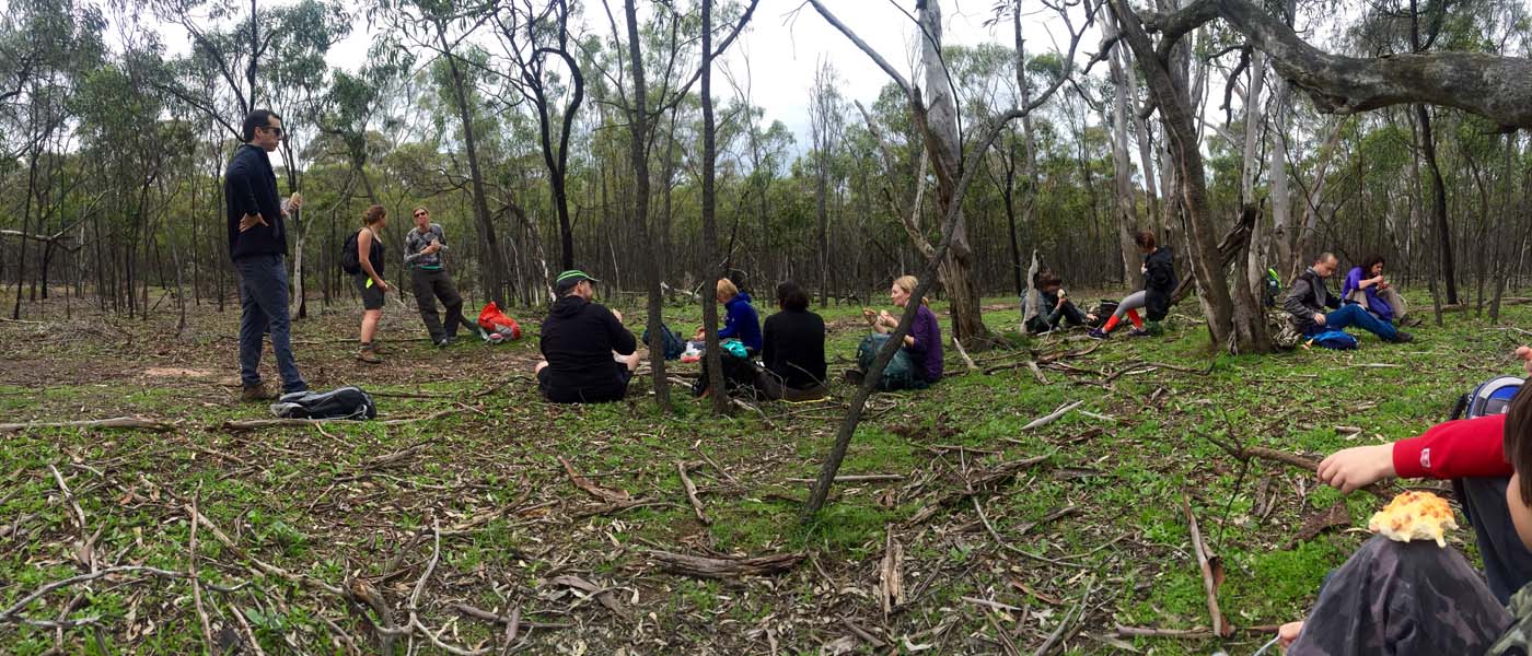 You yangs circuit hike (20)