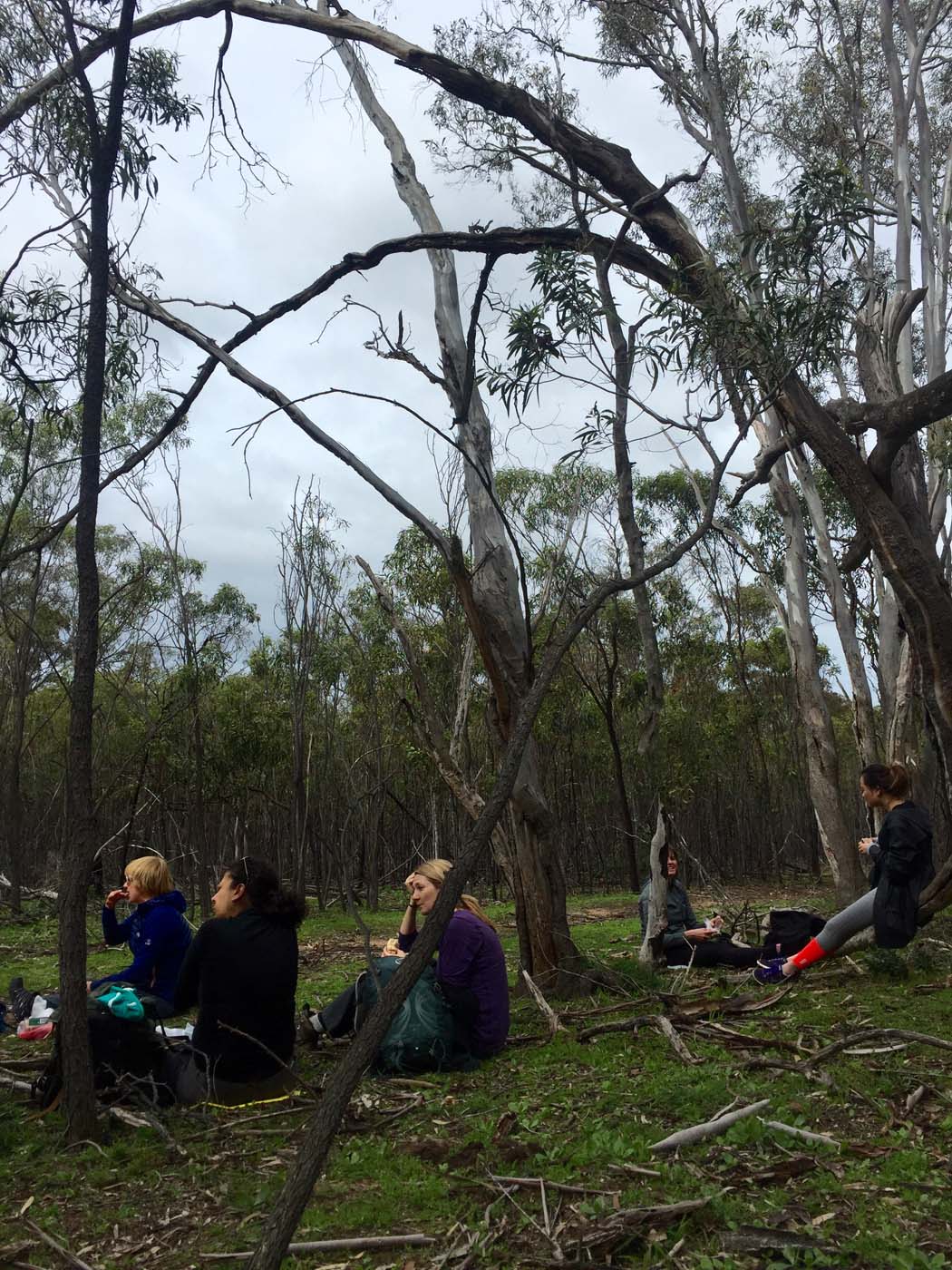 You yangs circuit hike (21)