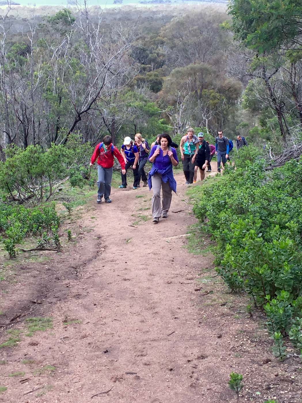 You yangs circuit hike (22)