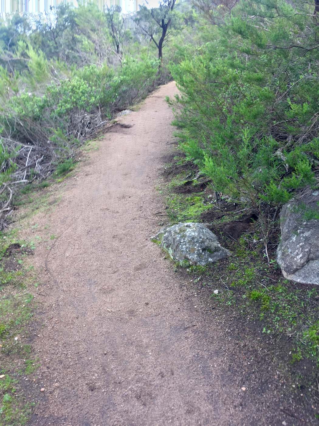 You yangs circuit hike (3)