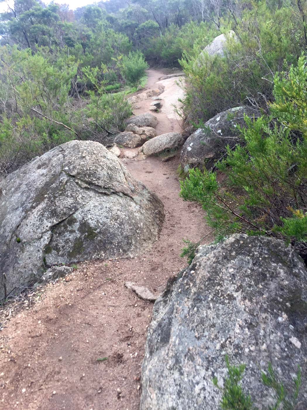 You yangs circuit hike (4)