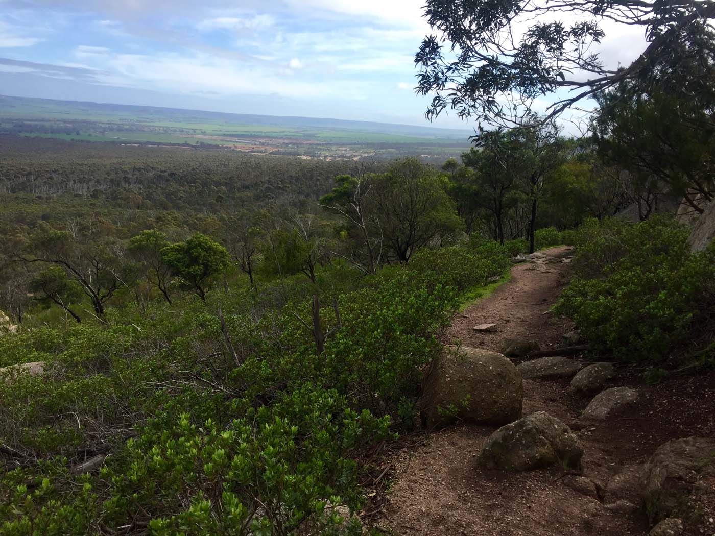 You yangs circuit hike (8)
