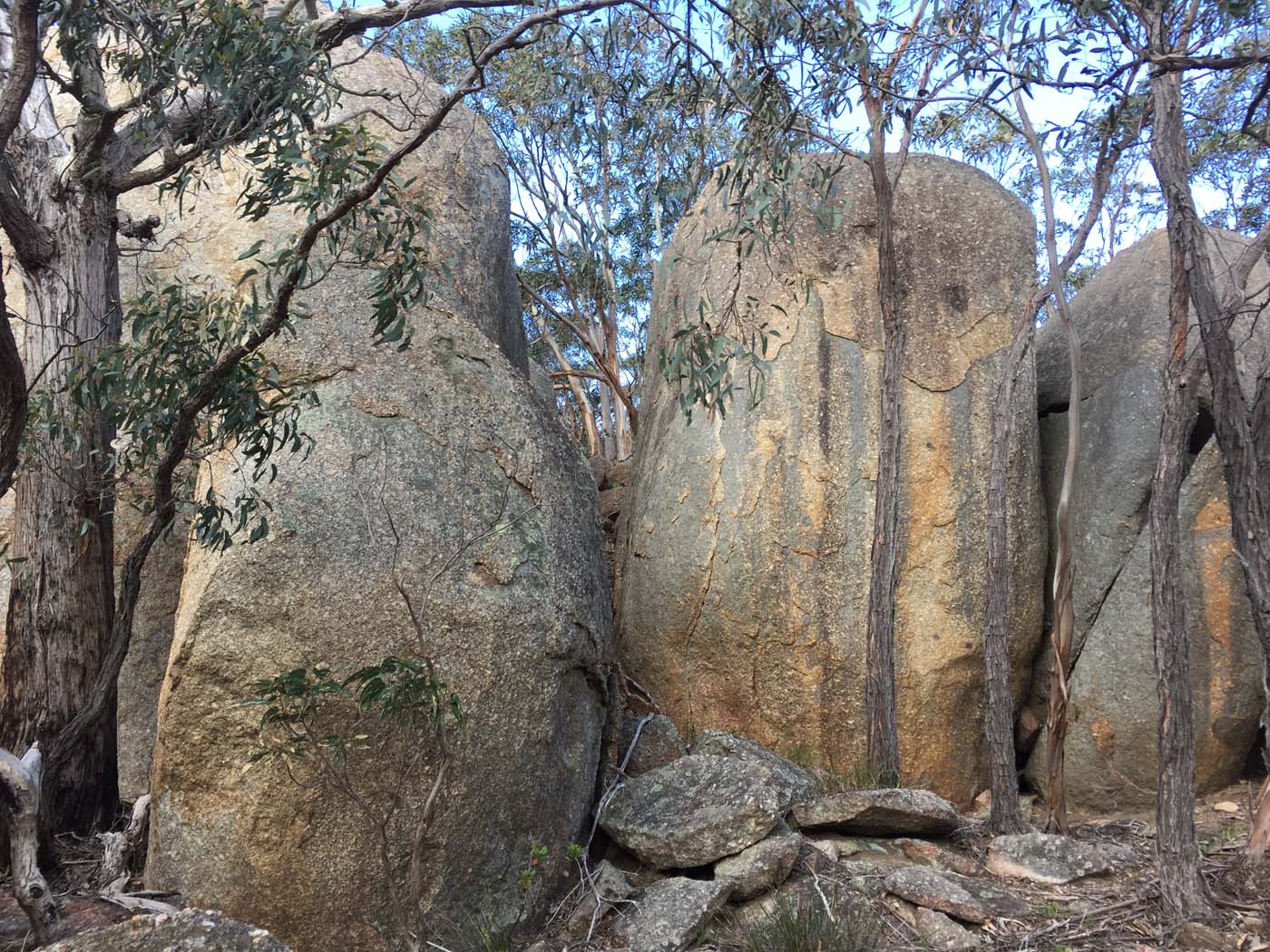 You yangs peaks circuit  (10)