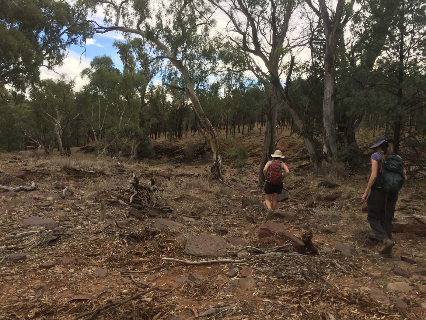 Yuluna hike 27