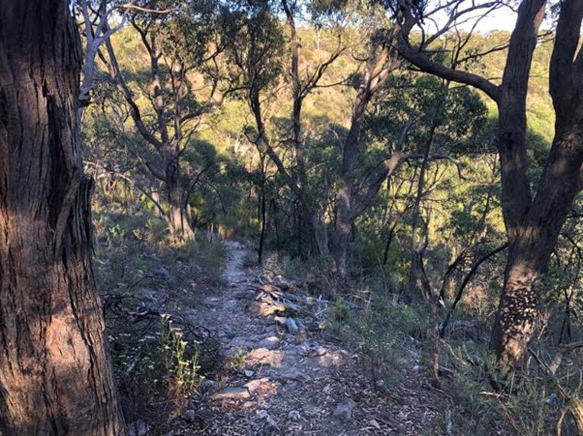 Yurrebilla trail hike (2)