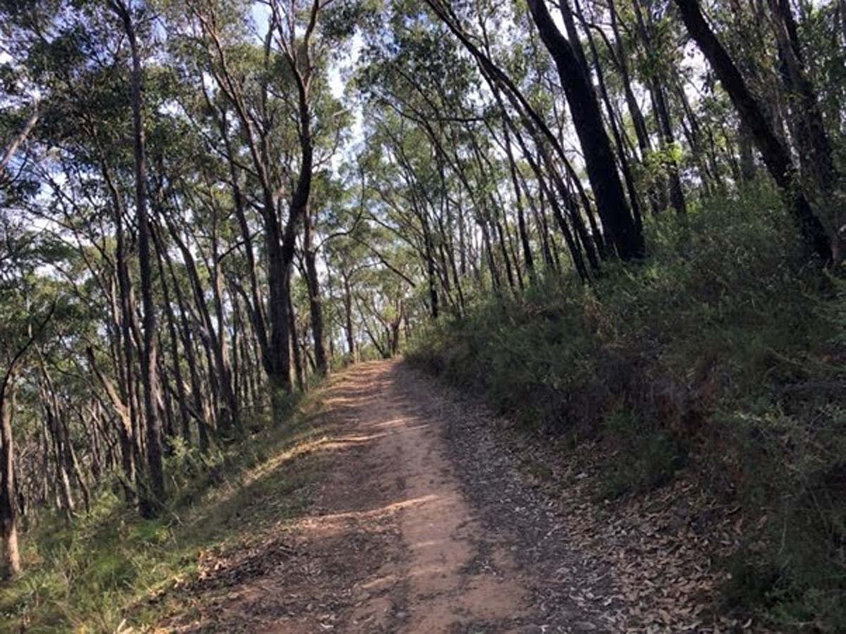 Yurrebilla trail hike (3)