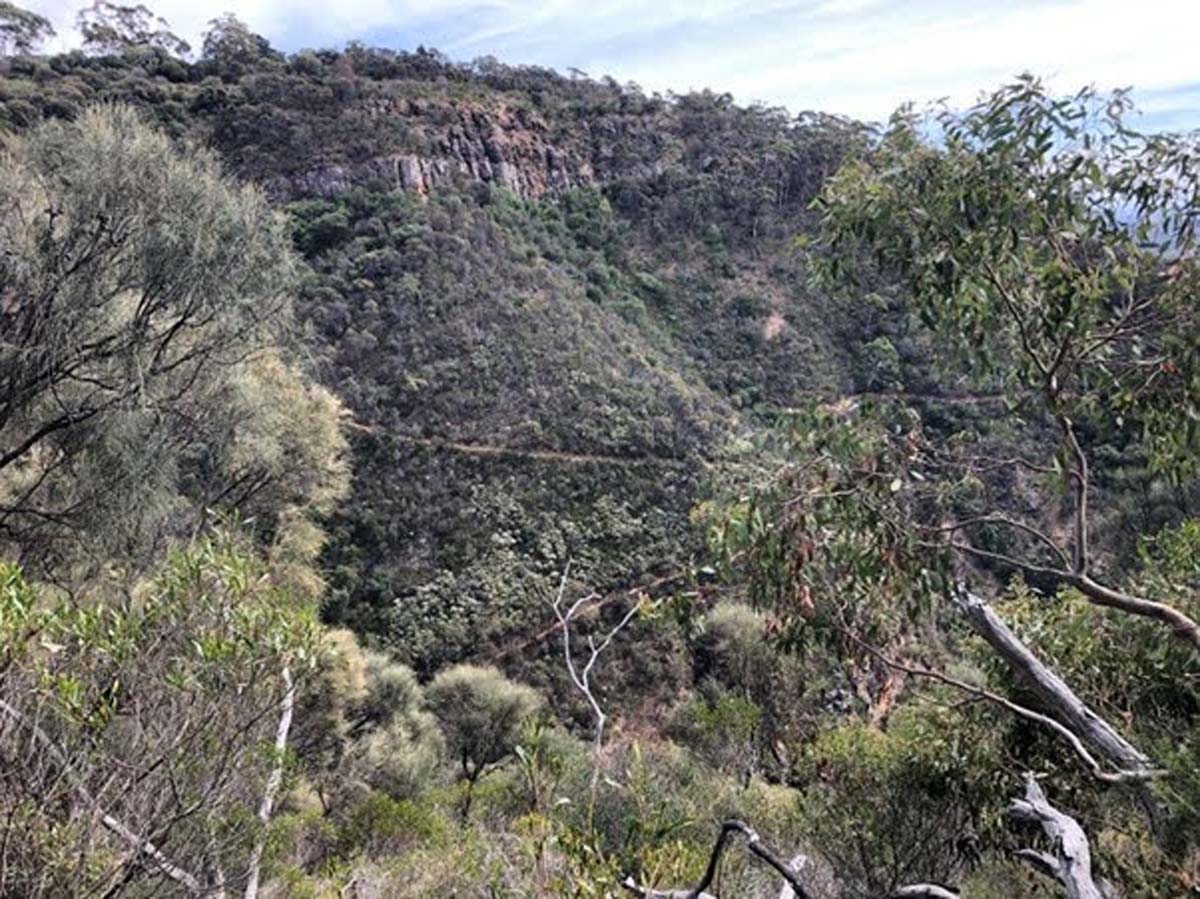 Yurrebilla trail hike (5)