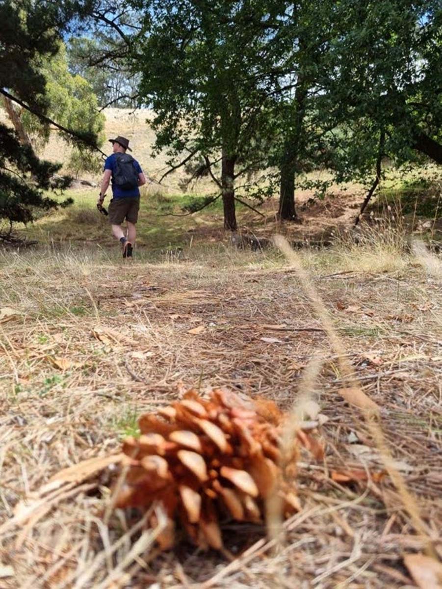 Yurrebilla trail hike (6)