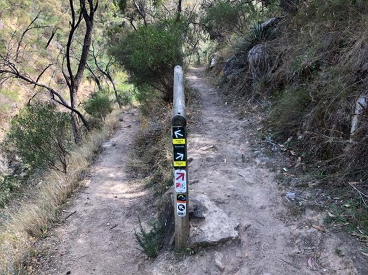 Yurrebilla trail hike (7)