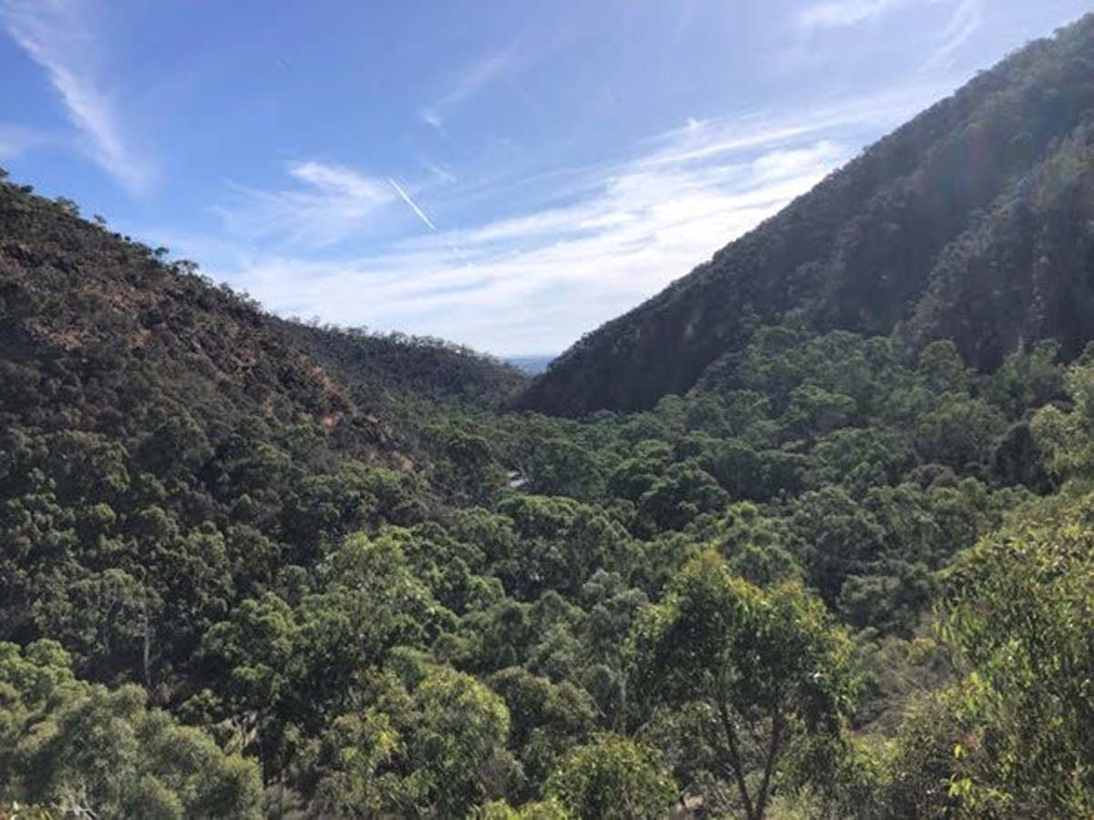 Yurrebilla trail hike (9)