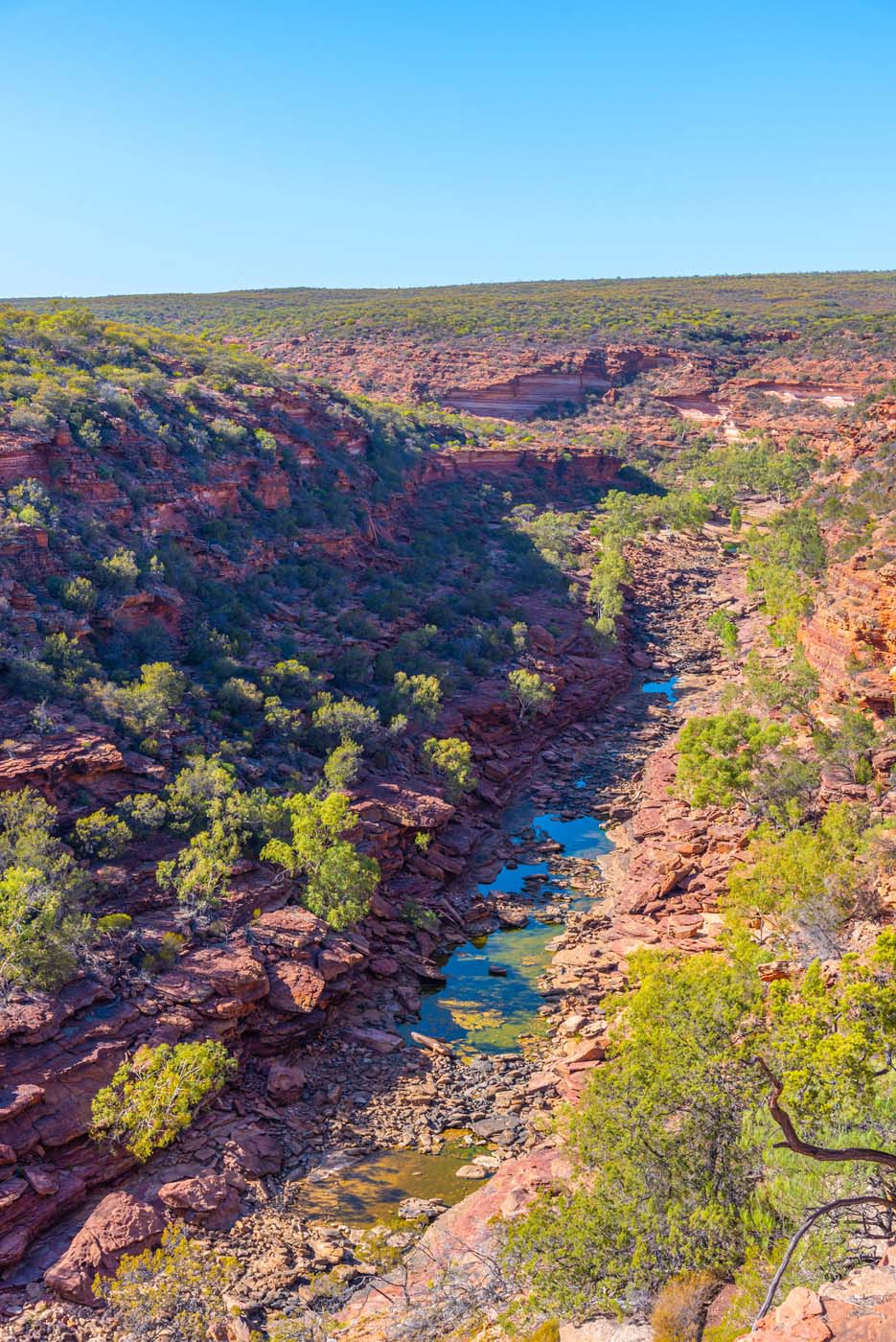 Z bend river trail kalbarri (4)